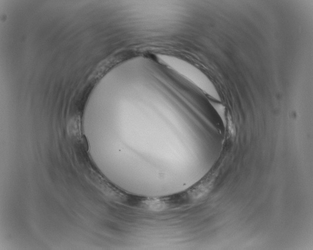 X0000076350425200610272125