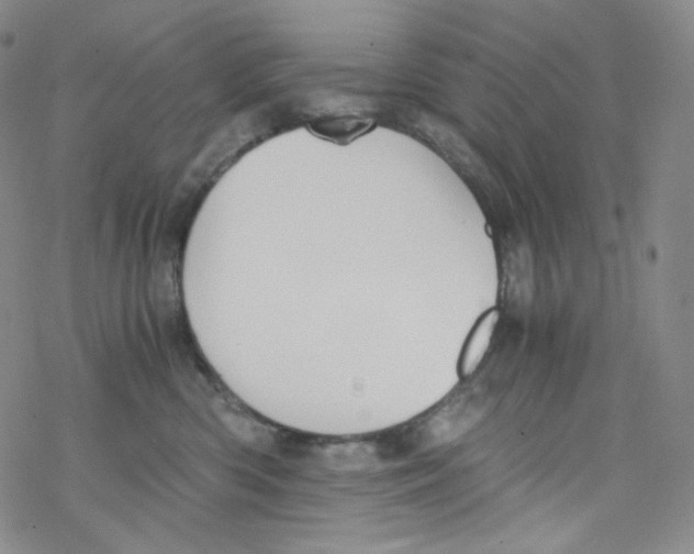 X0000076350426200610272125