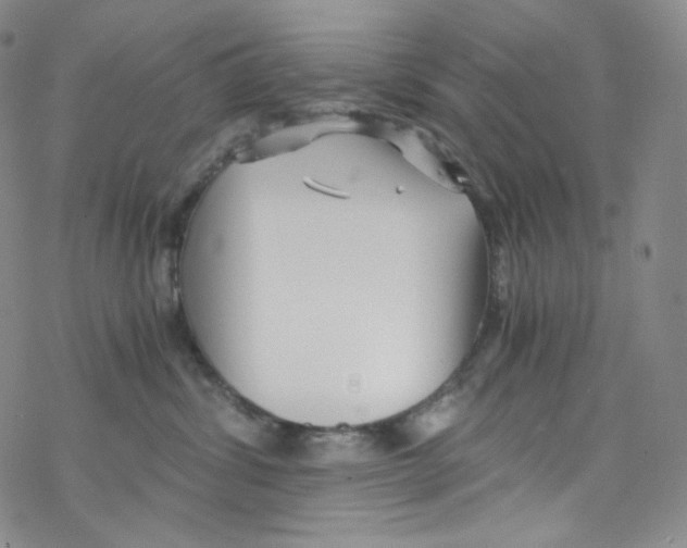 X0000076350428200610272125