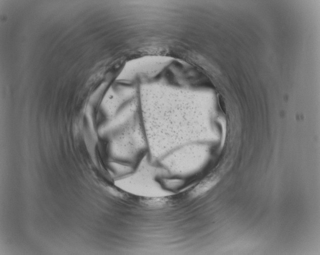 X0000076350432200610272124