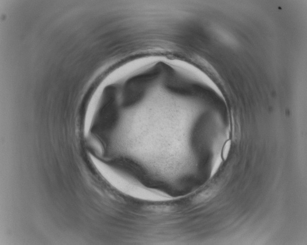 X0000076350435200610272124