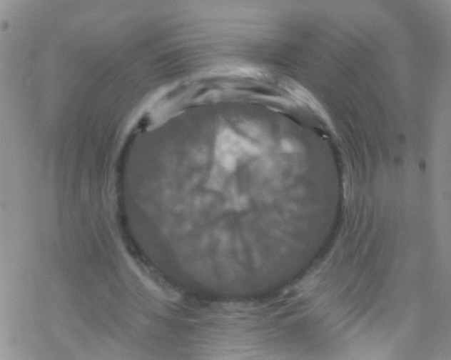 X0000076350436200610272124