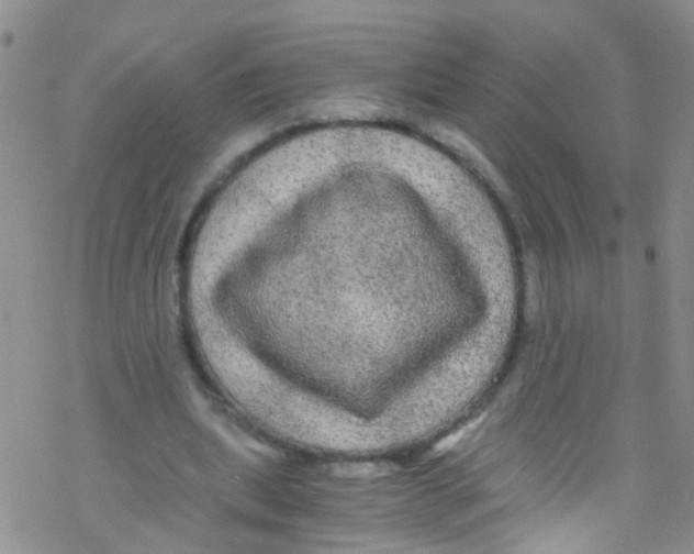 X0000076350439200610272124