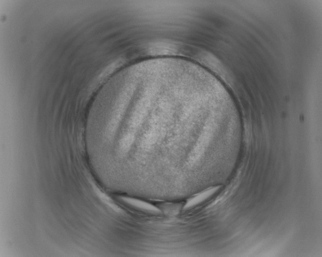 X0000076350441200610272124