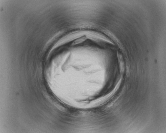 X0000076350442200610272124