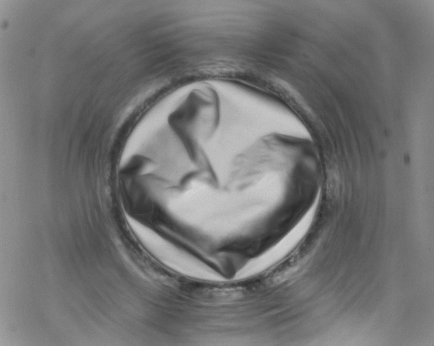 X0000076350443200610272124