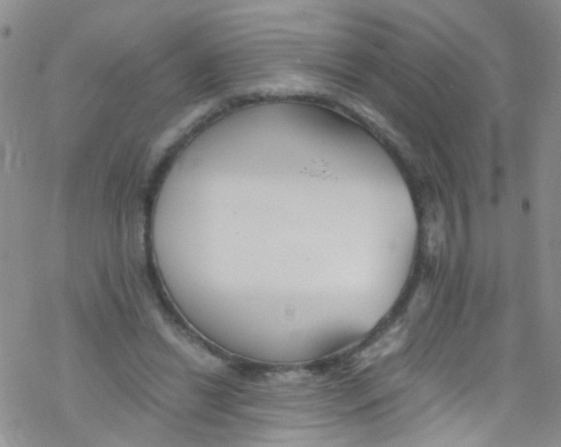 X0000076350446200610272124