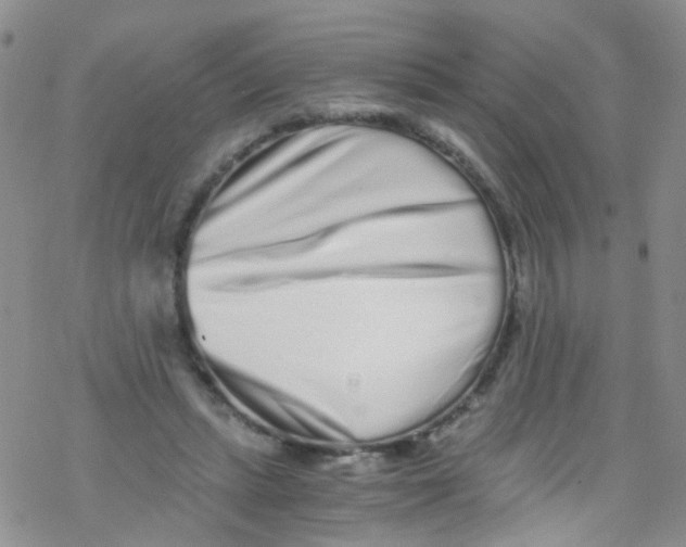 X0000076350447200610272124