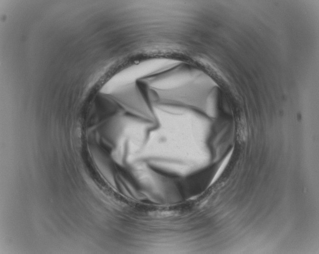 X0000076350448200610272124