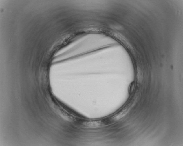 X0000076350449200610272124