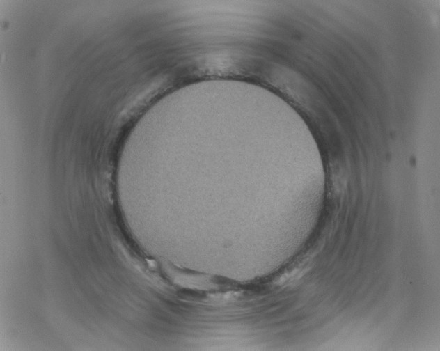 X0000076350450200610272124