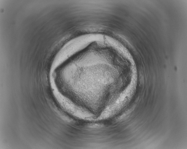 X0000076350453200610272124