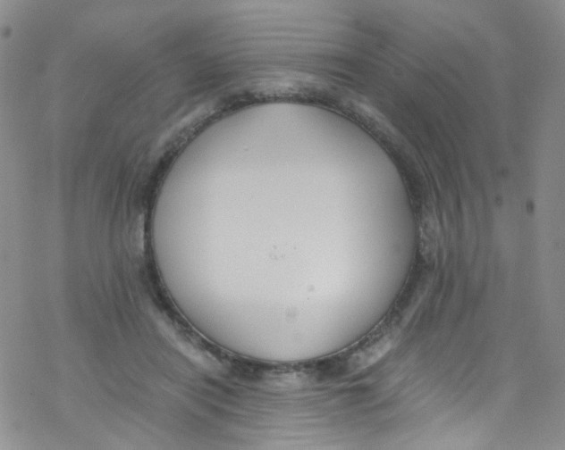 X0000076350454200610272124