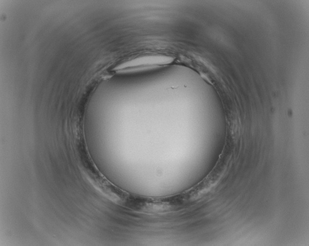 X0000076350455200610272124