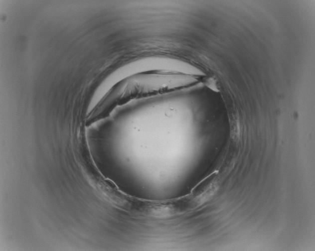 X0000076350456200610272124