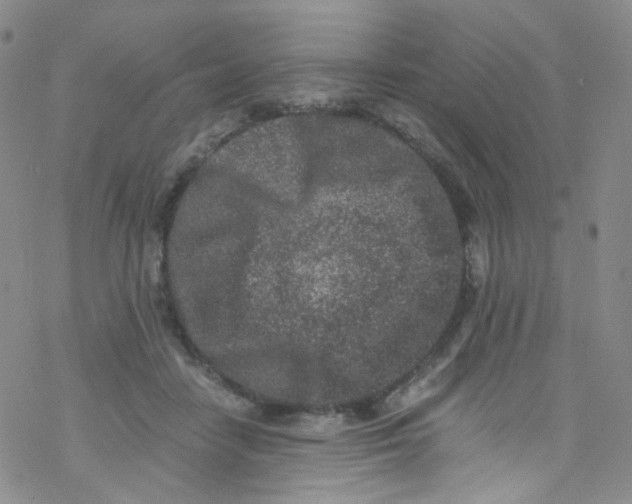 X0000076350458200610272124