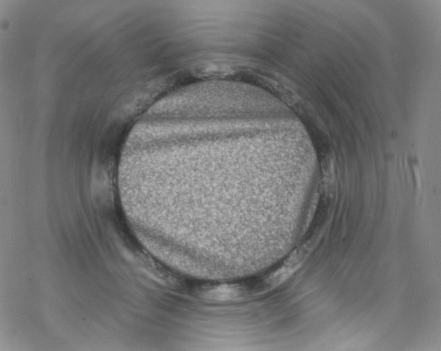 X0000076350460200610272124