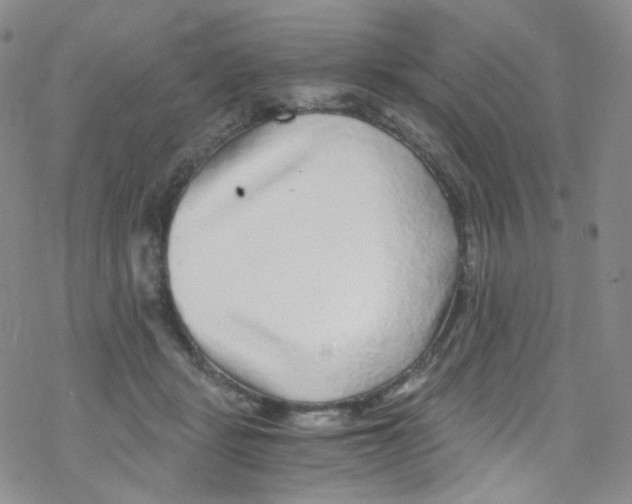 X0000076350461200610272124