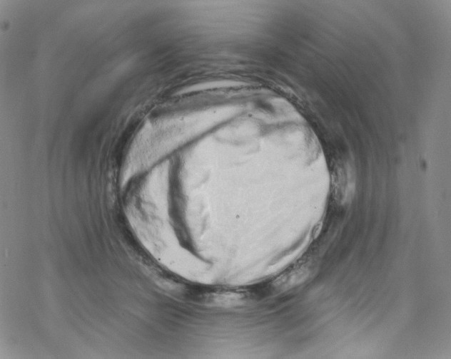 X0000076350462200610272124