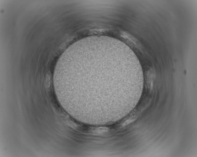 X0000076350463200610272124