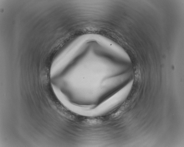 X0000076350464200610272124