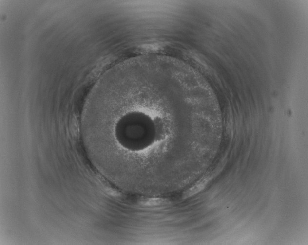 X0000076350467200610272124