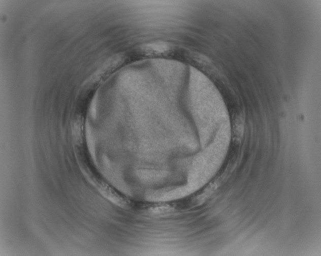 X0000076350468200610272124