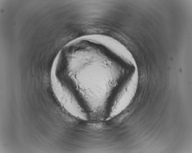 X0000076350469200610272124