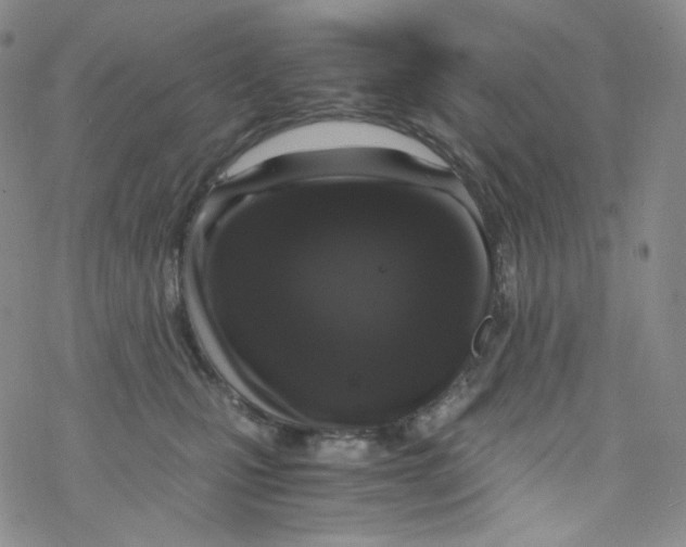 X0000076350471200610272124