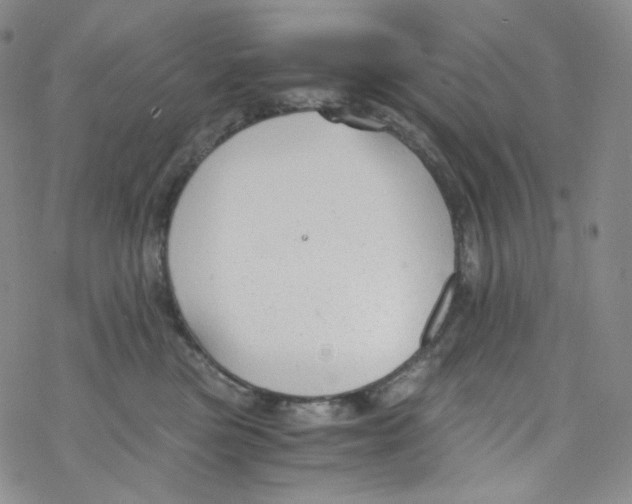 X0000076350473200610272124