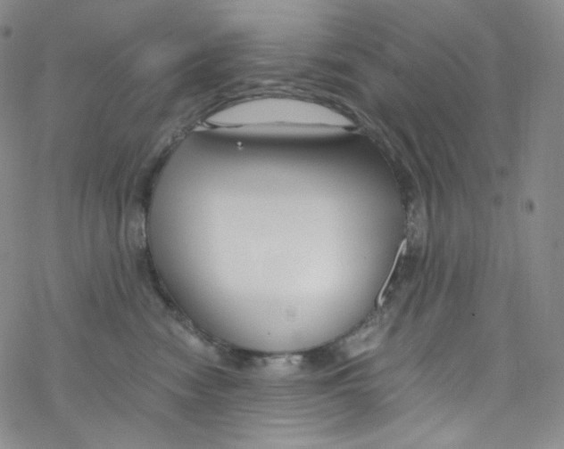 X0000076350474200610272124