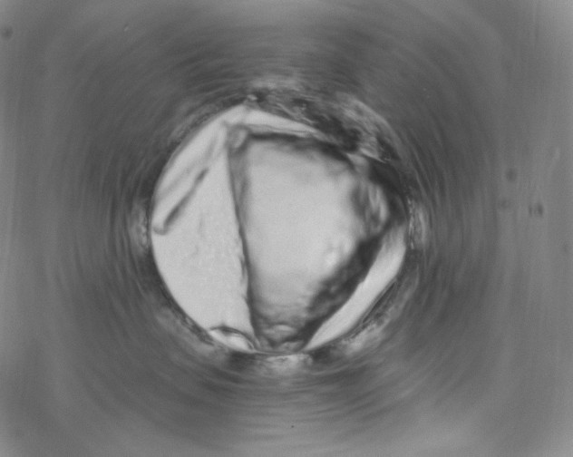 X0000076350479200610272124