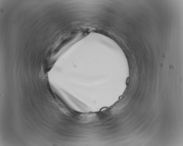 X0000076350480200610272124