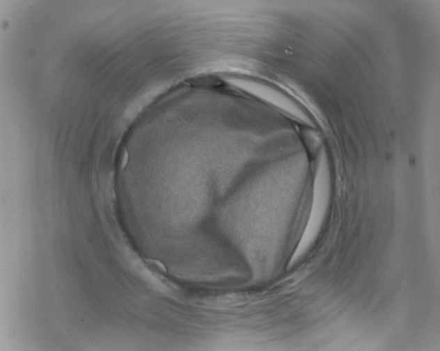 X0000076350485200610272124