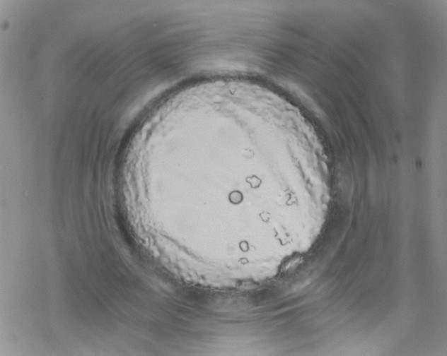 X0000076350487200610272124