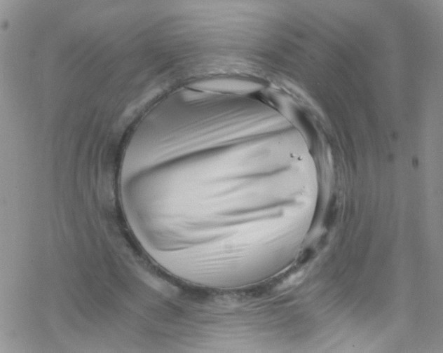 X0000076350489200610272124