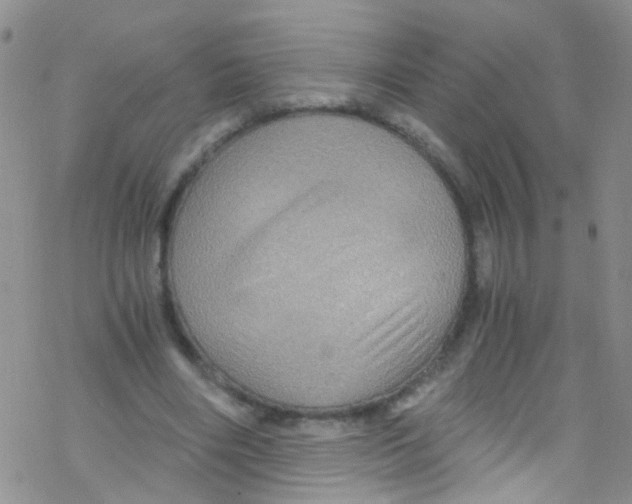 X0000076350490200610272123