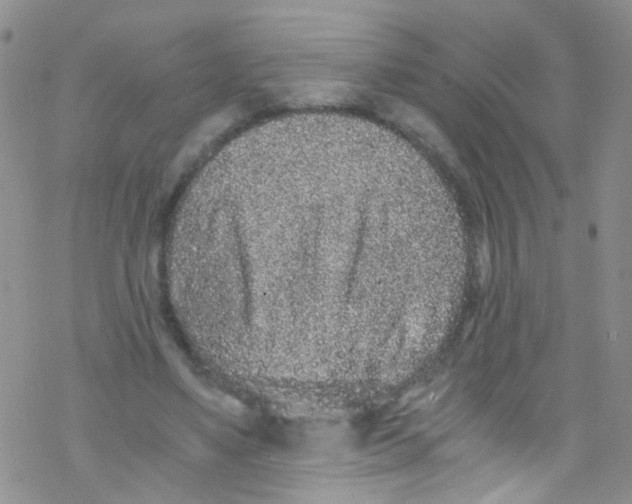 X0000076350491200610272123