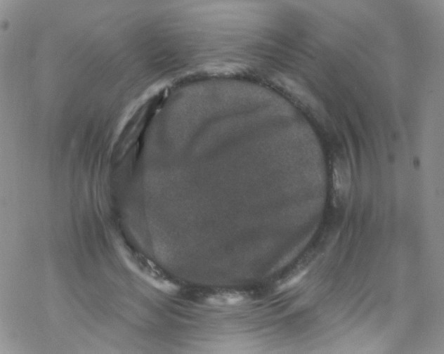 X0000076350492200610272123