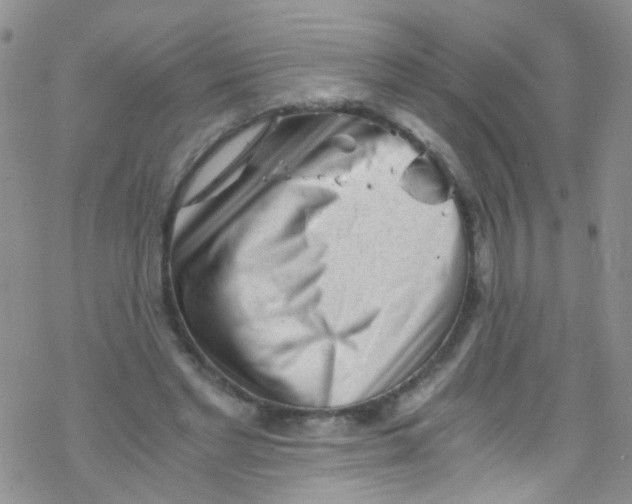 X0000076350493200610272123