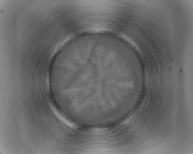 X0000076350494200610272123