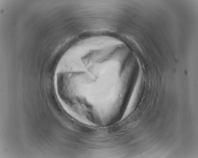 X0000076350495200610272123