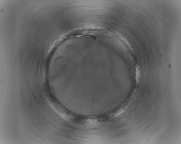 X0000076350496200610272123