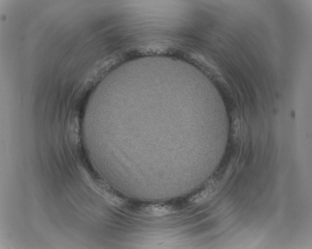 X0000076350498200610272123