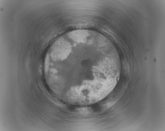 X0000076350499200610272123