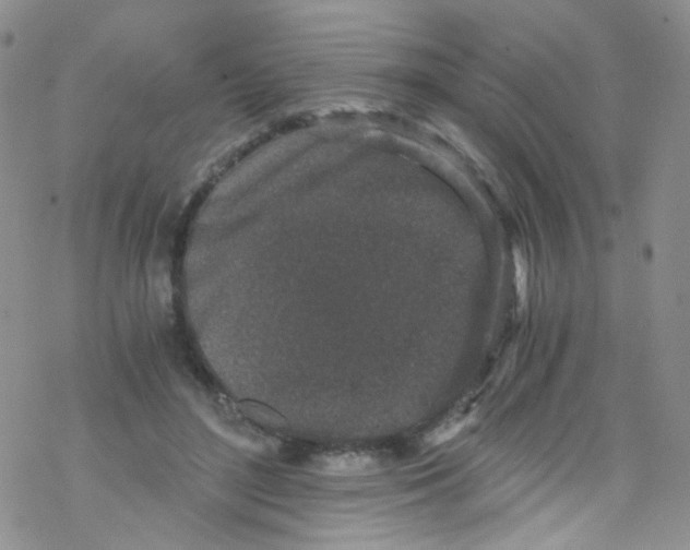 X0000076350500200610272123