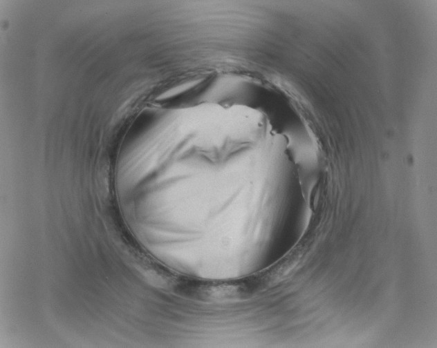 X0000076350501200610272123