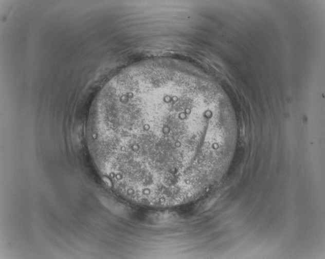 X0000076350503200610272123