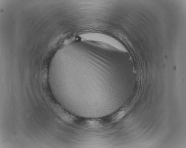 X0000076350509200610272123