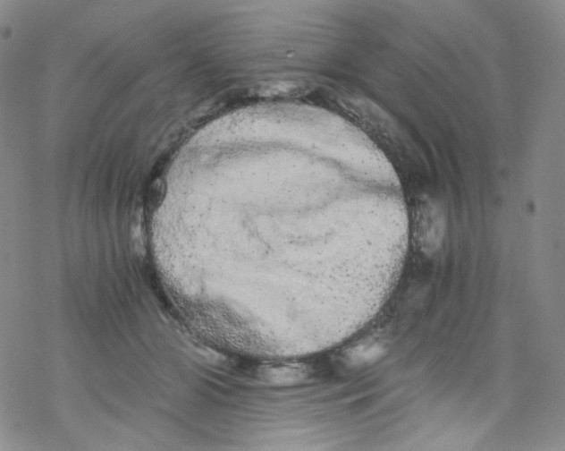 X0000076350510200610272123